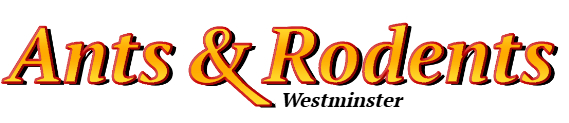 Westminster Ant Exterminator & Rodent Control Company Logo